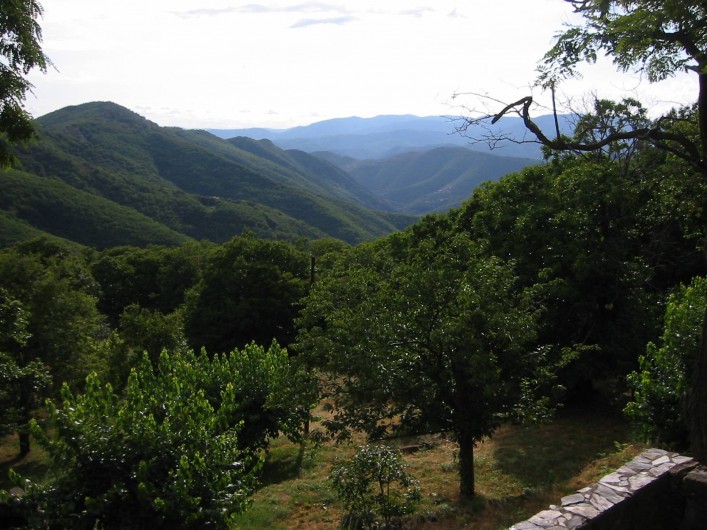 Location de vacances - Mas à Saint-Roman-de-Codières - La vue depuis la maison