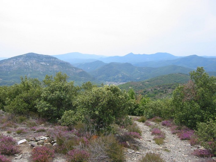 Location de vacances - Mas à Saint-Roman-de-Codières - En balade