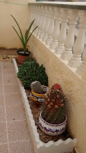 Location de vacances - Villa à San Fulgencio