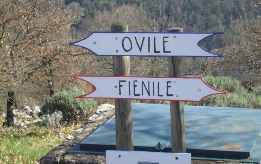 Location de vacances - Maison - Villa à Radda in Chianti