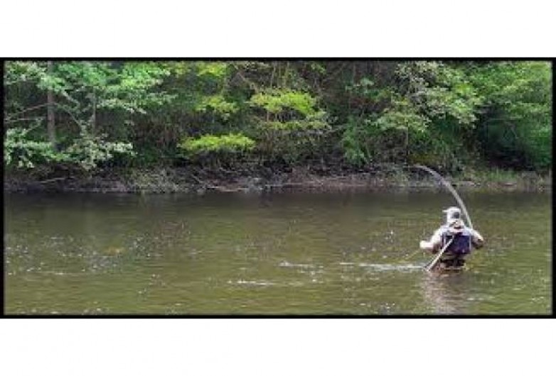 Location de vacances - Gîte à Bromont Lamothe - Nombreuses zones de pèche aux alentours