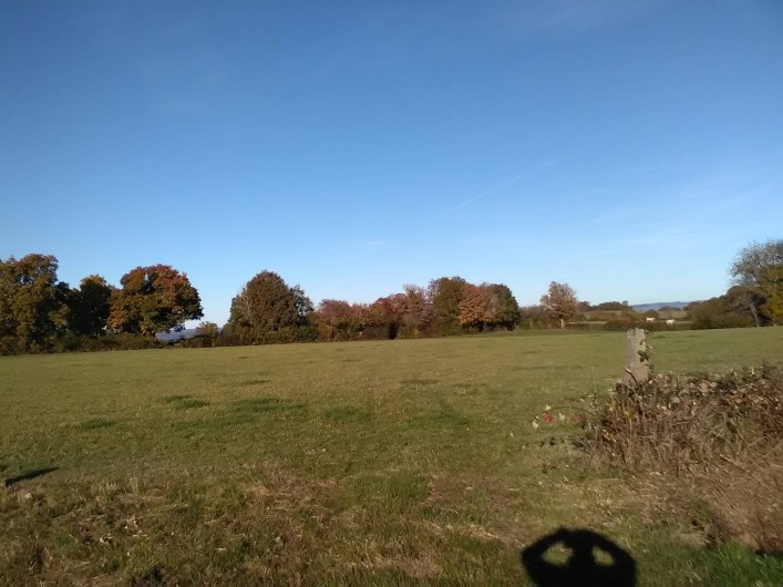 Location de vacances - Gîte à Bromont Lamothe - Aux alentours ; paysage de bocage