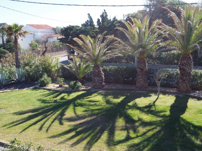 Location de vacances - Studio à Hyères - Vue sur jardin depuis la terrasse