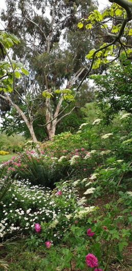 Location de vacances - Studio à Hyères - Le Jardin Olbius Riquier, un paradis pour les enfants