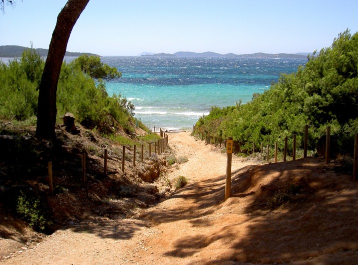 Location de vacances - Studio à Hyères - Ile de Porquerolles, promenades à pieds ou en vélo Copyright Hyères-Tourisme