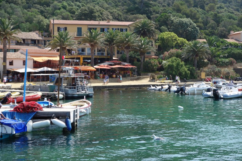 Location de vacances - Studio à Hyères - Ile de Port-Cros Copyright Hyères-Tourisme