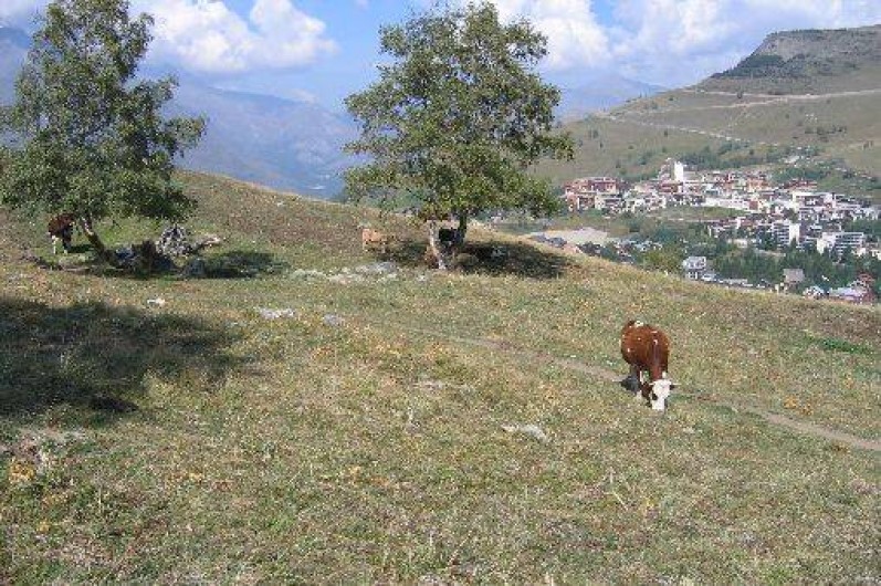 Location de vacances - Studio à Les Deux Alpes