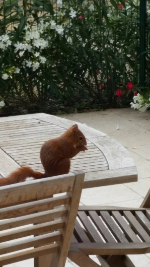 Location de vacances - Gîte à Agde