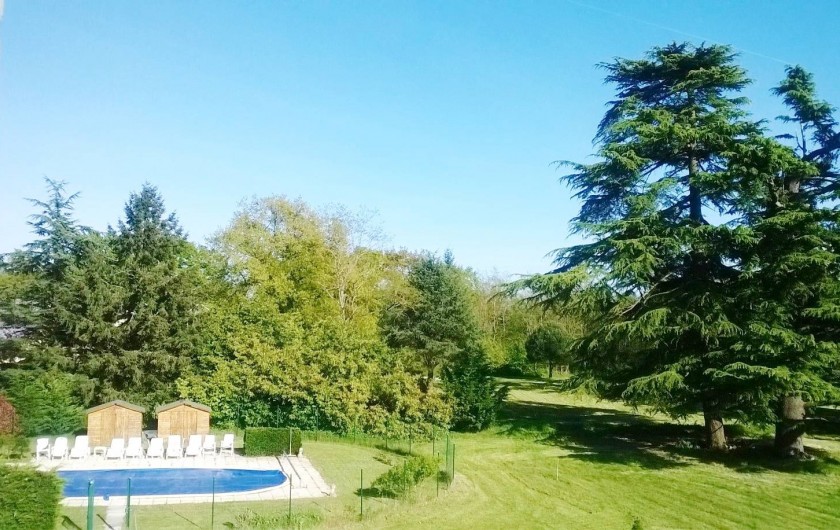 Location de vacances - Château - Manoir à Saint-Denis-de-l'Hôtel - piscine