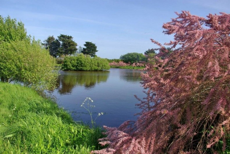 Location de vacances - Maison - Villa à Pennéro