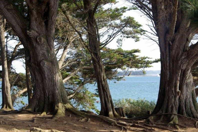 Location de vacances - Maison - Villa à Pennéro