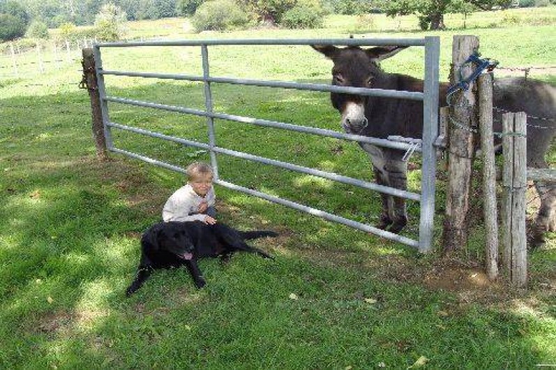 Location de vacances - Chambre d'hôtes à Yvré-l'Évêque