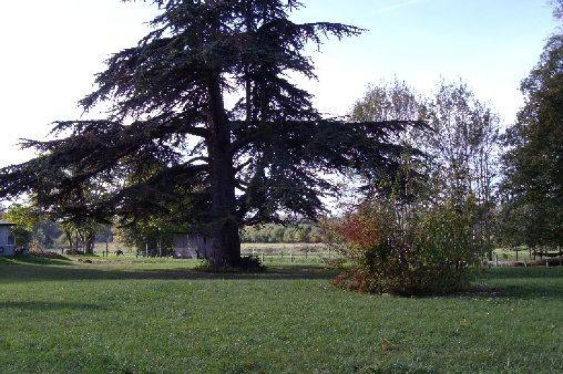 Location de vacances - Chambre d'hôtes à Yvré-l'Évêque