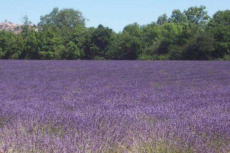 Location de vacances - Gîte à Villelaure