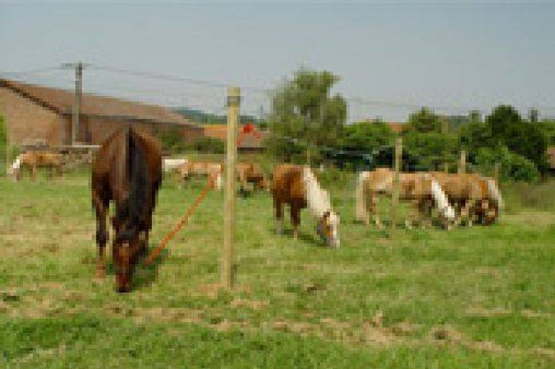 Location de vacances - Gîte à Margny-sur-Matz