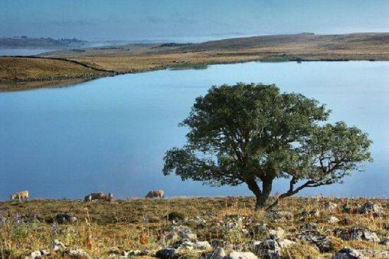 Location de vacances - Chalet à Saint-Chély-d'Aubrac