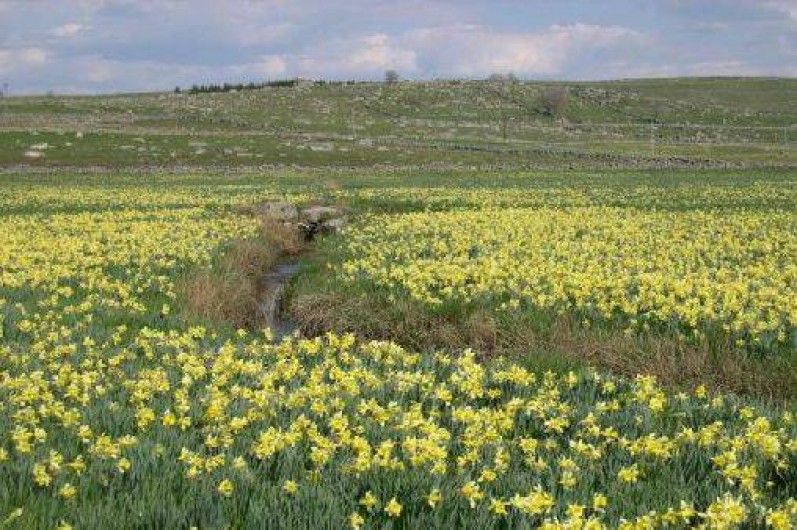 Location de vacances - Chalet à Saint-Chély-d'Aubrac