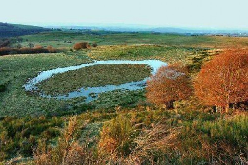 Location de vacances - Chalet à Saint-Chély-d'Aubrac