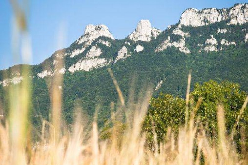 Location de vacances - Gîte à Saint-Paul