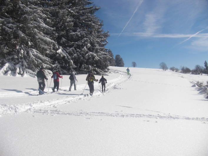 Location de vacances - Chalet à Le Tholy - Raquettes à neige à partir du chalet