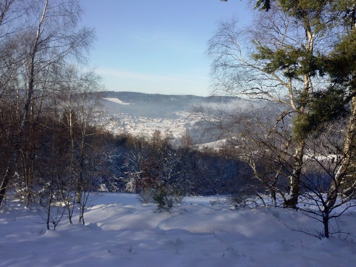 Location de vacances - Chalet à Le Tholy - Paysage d'hiver autour du chalet