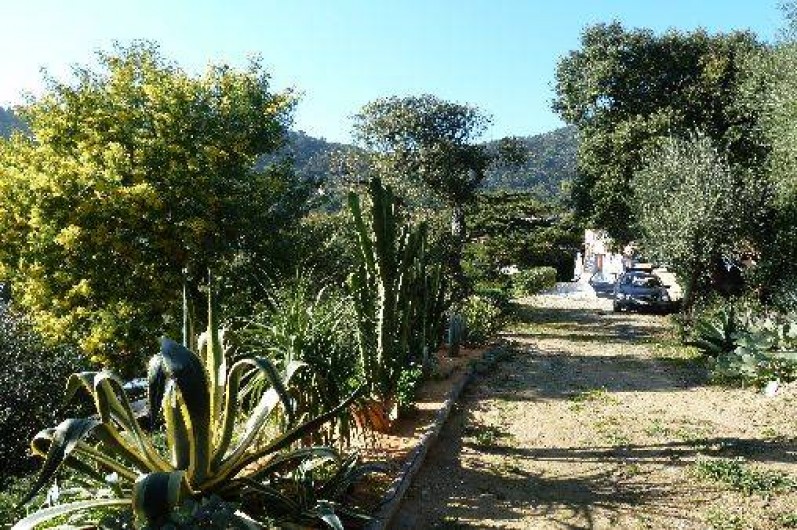 Location de vacances - Villa à Le Lavandou