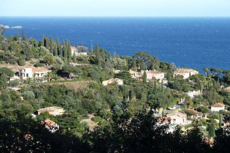 Location de vacances - Villa à Le Lavandou