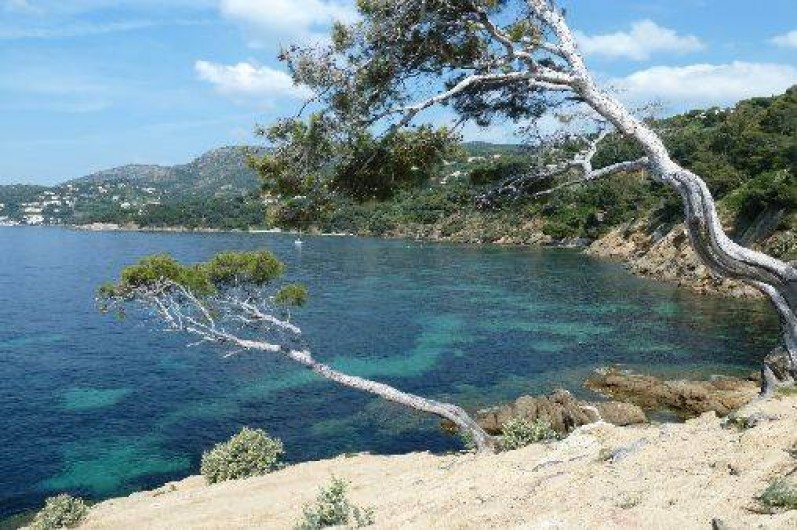 Location de vacances - Villa à Le Lavandou
