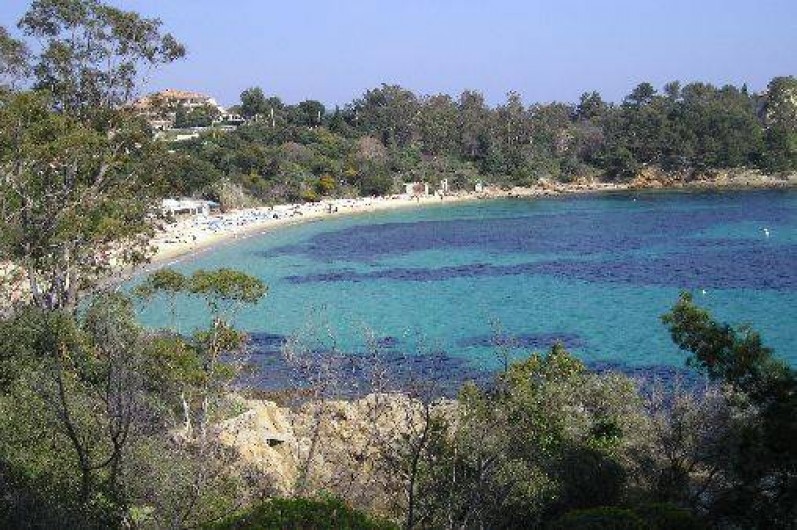 Location de vacances - Villa à Le Lavandou