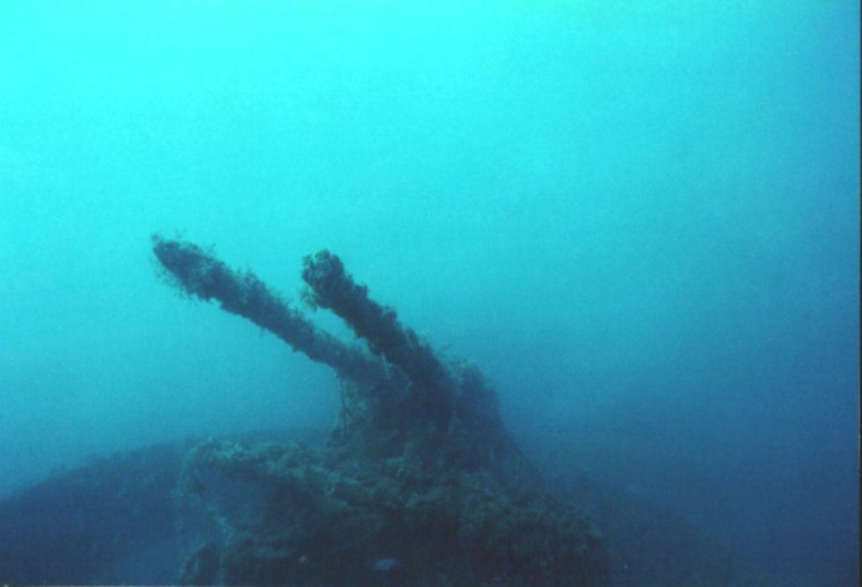 Location de vacances - Studio à Le Barcarès