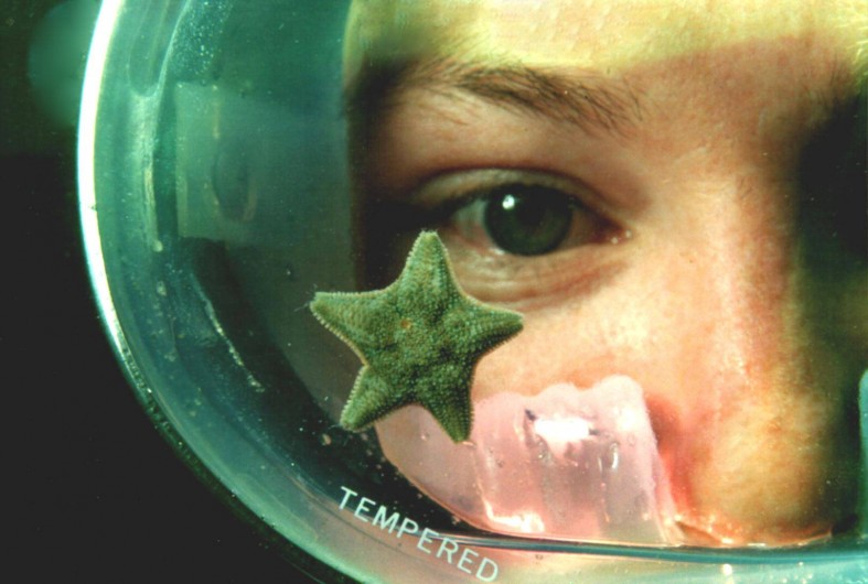 Location de vacances - Studio à Le Barcarès