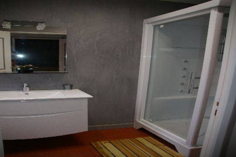 Location de vacances - Gîte à Saint-Aignan-sur-Cher