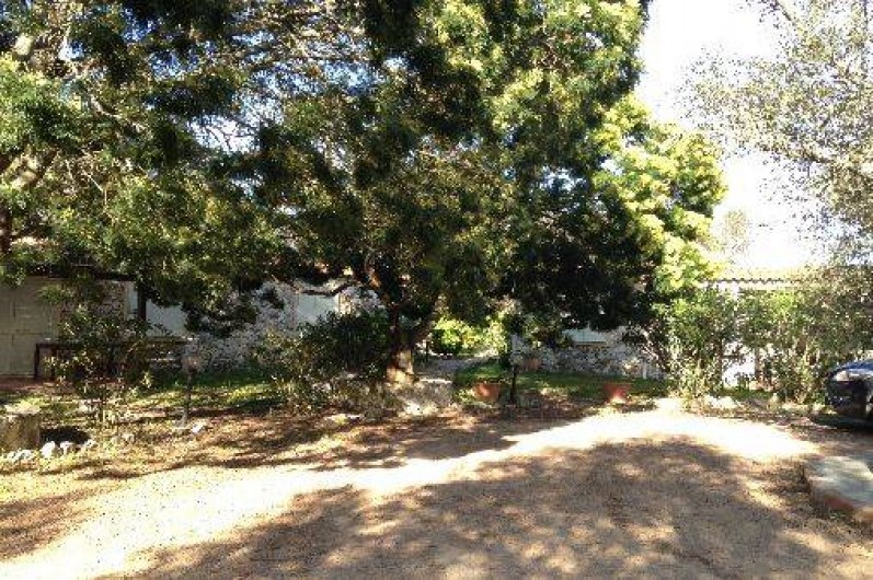 Location de vacances - Villa à Bonifacio