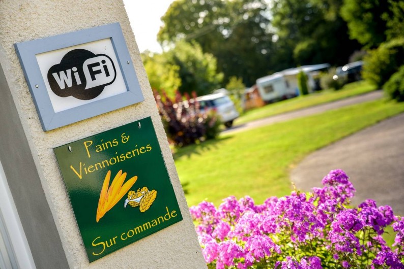 Location de vacances - Bungalow - Mobilhome à Le Bourg-Dun - vue