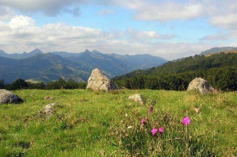 Location de vacances - Gîte à Jou-sous-Monjou
