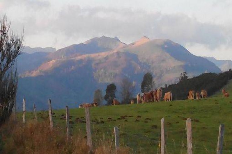 Location de vacances - Gîte à Jou-sous-Monjou