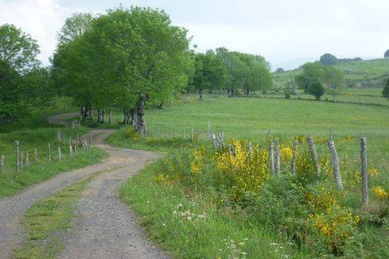 Location de vacances - Gîte à Jou-sous-Monjou