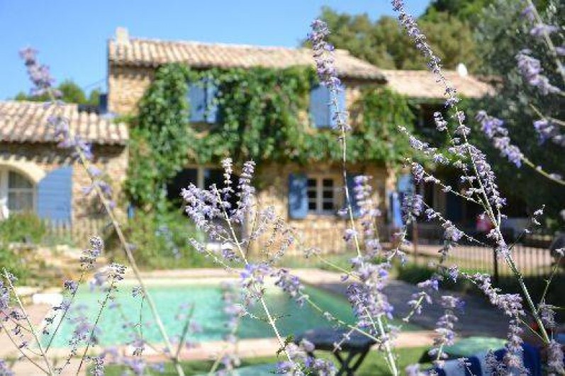 Location de vacances - Mas à Piolenc