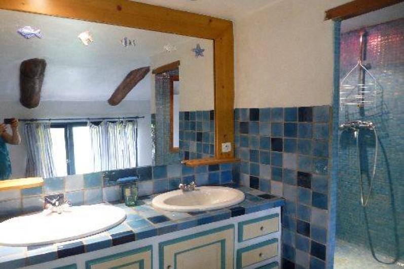 Location de vacances - Mas à Piolenc