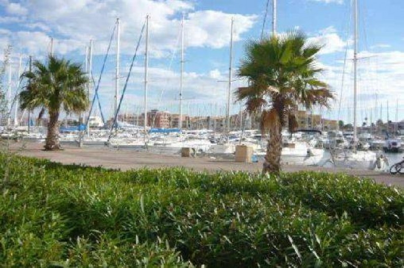 Location de vacances - Appartement à Port Leucate