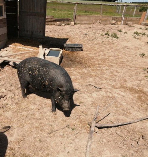Location de vacances - Gîte à Verdelot