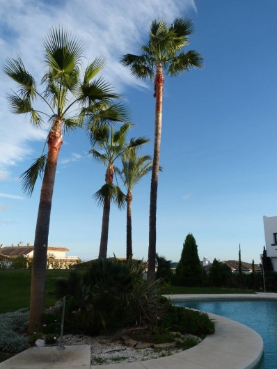 Location de vacances - Appartement à Las Lagunas de Mijas