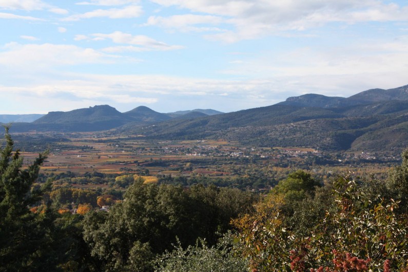 Location de vacances - Roulotte à Aniane - vue sur le vignoble