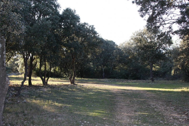 Location de vacances - Roulotte à Aniane - chemin derrière la roulotte