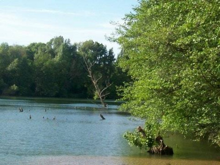 Location de vacances - Roulotte à Aniane - rivière