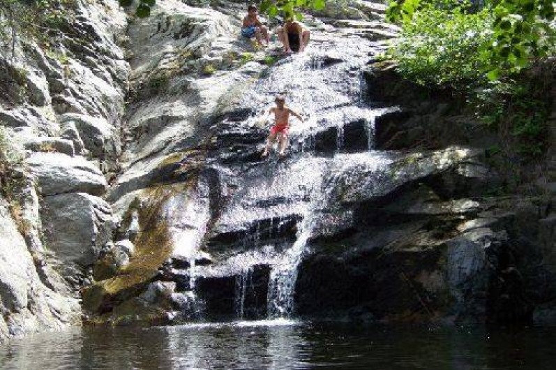 Location de vacances - Studio à Sorède