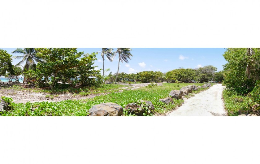 Location de vacances - Villa à Sainte-Anne - Allée longeant la plage du Cap Chevalier.