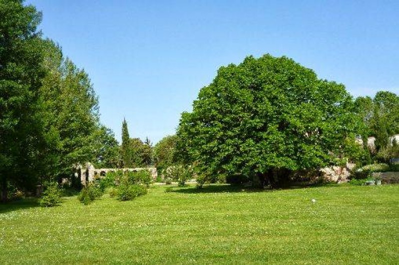 Location de vacances - Chambre d'hôtes à Sauve