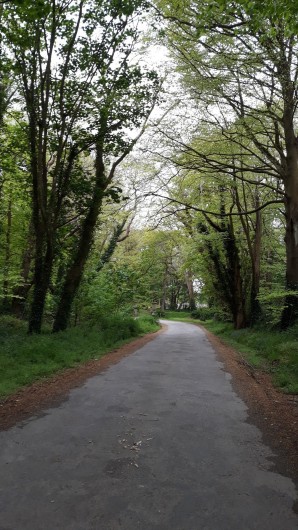 Location de vacances - Gîte à Brélès - Allée en direction du château.
