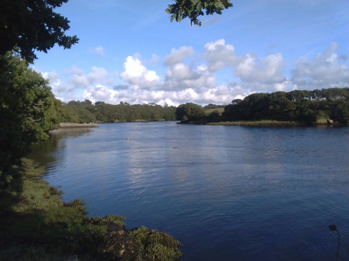 Location de vacances - Gîte à Brélès - Sur le sentier côtier vue sur l'Aber Ildut à marée haute.